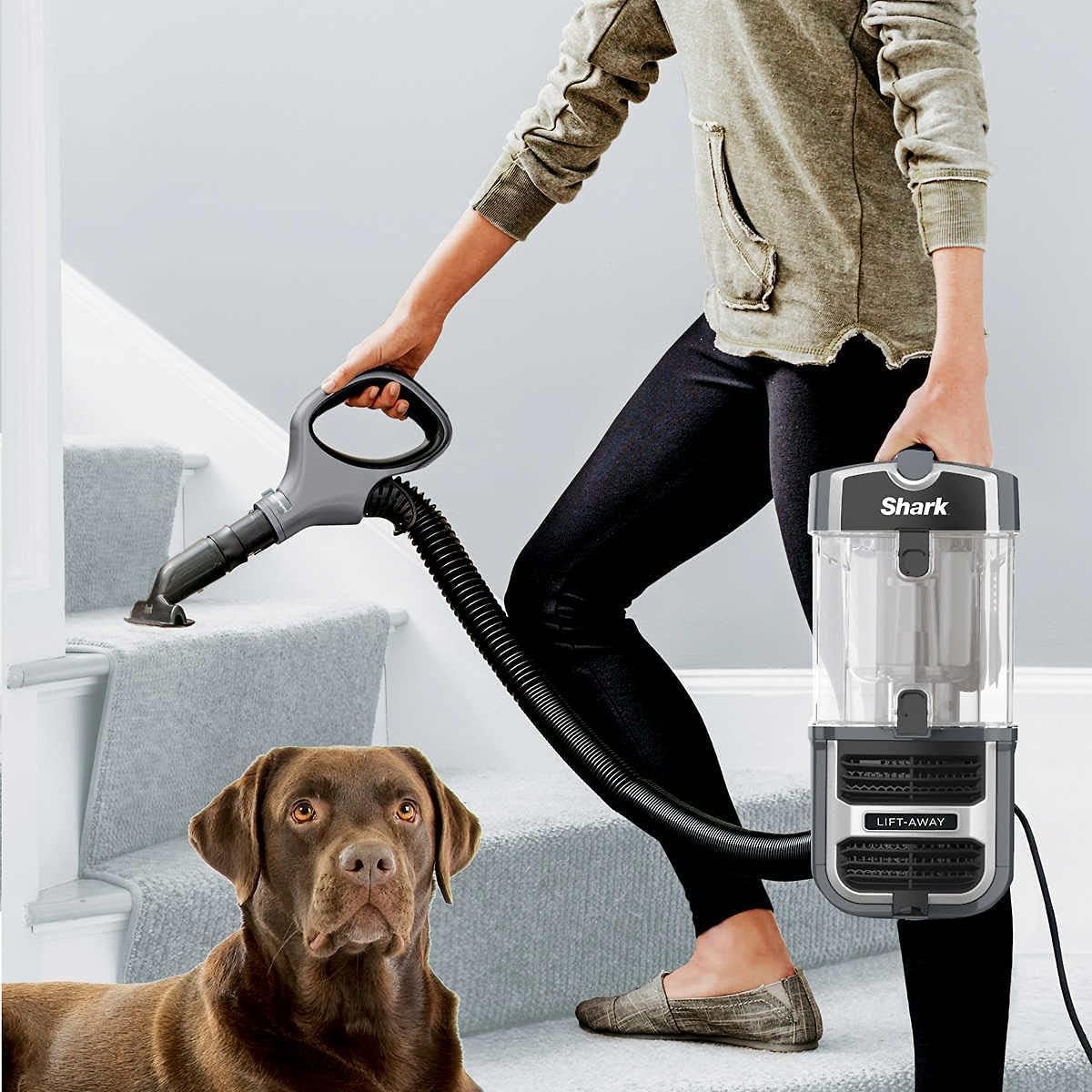 ****CLEARANCE*** Shark UV725 Navigator Lift-Away with Self Cleaning Brushroll Upright Vacuum with HEPA Filter - Image 14