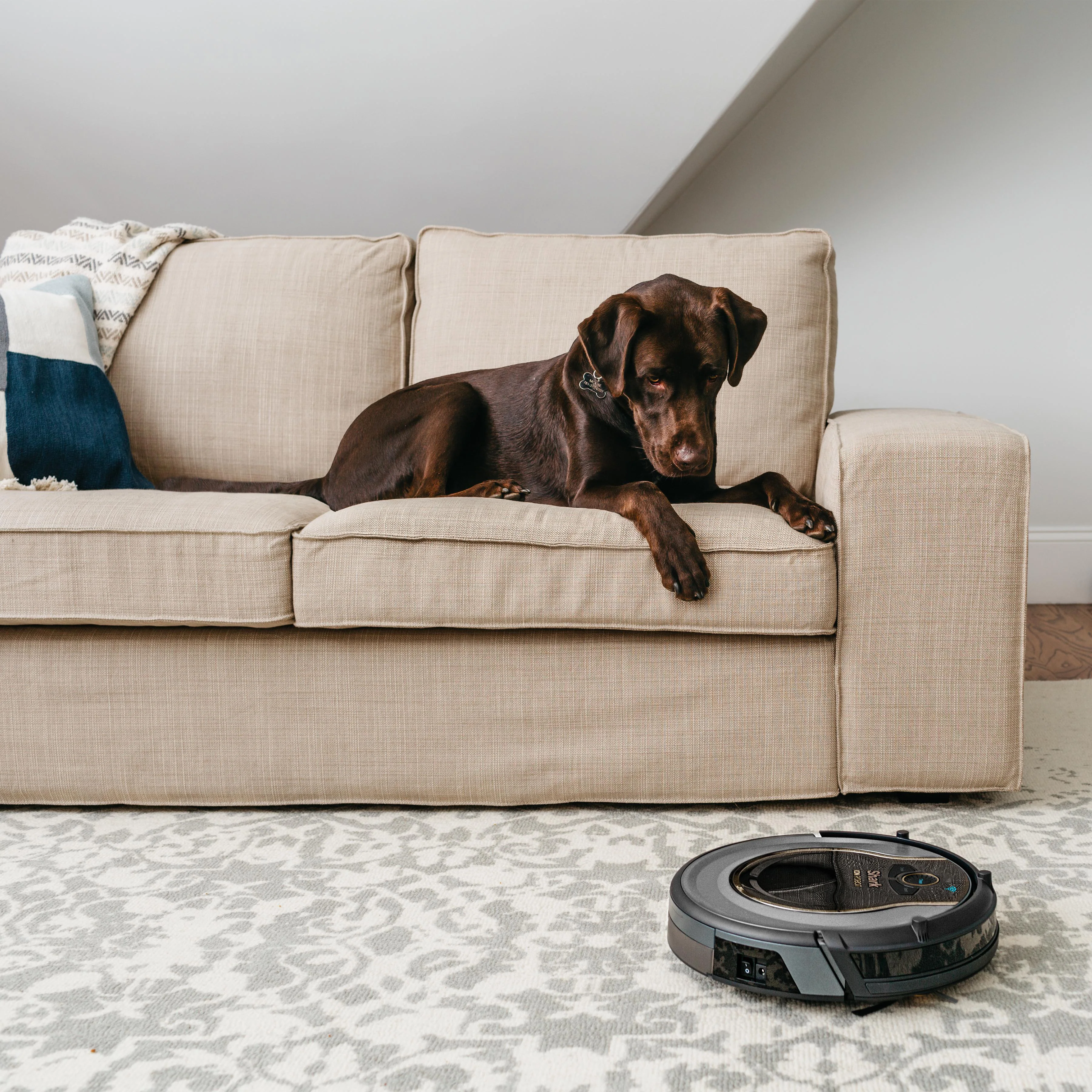 Shark ION Robot Vacuum WIFI-Connected, Voice Control Dual-Action Robotic Vacuum Carpet and Hard Floor Cleaner, Works with Alexa (RV750) - Image 3