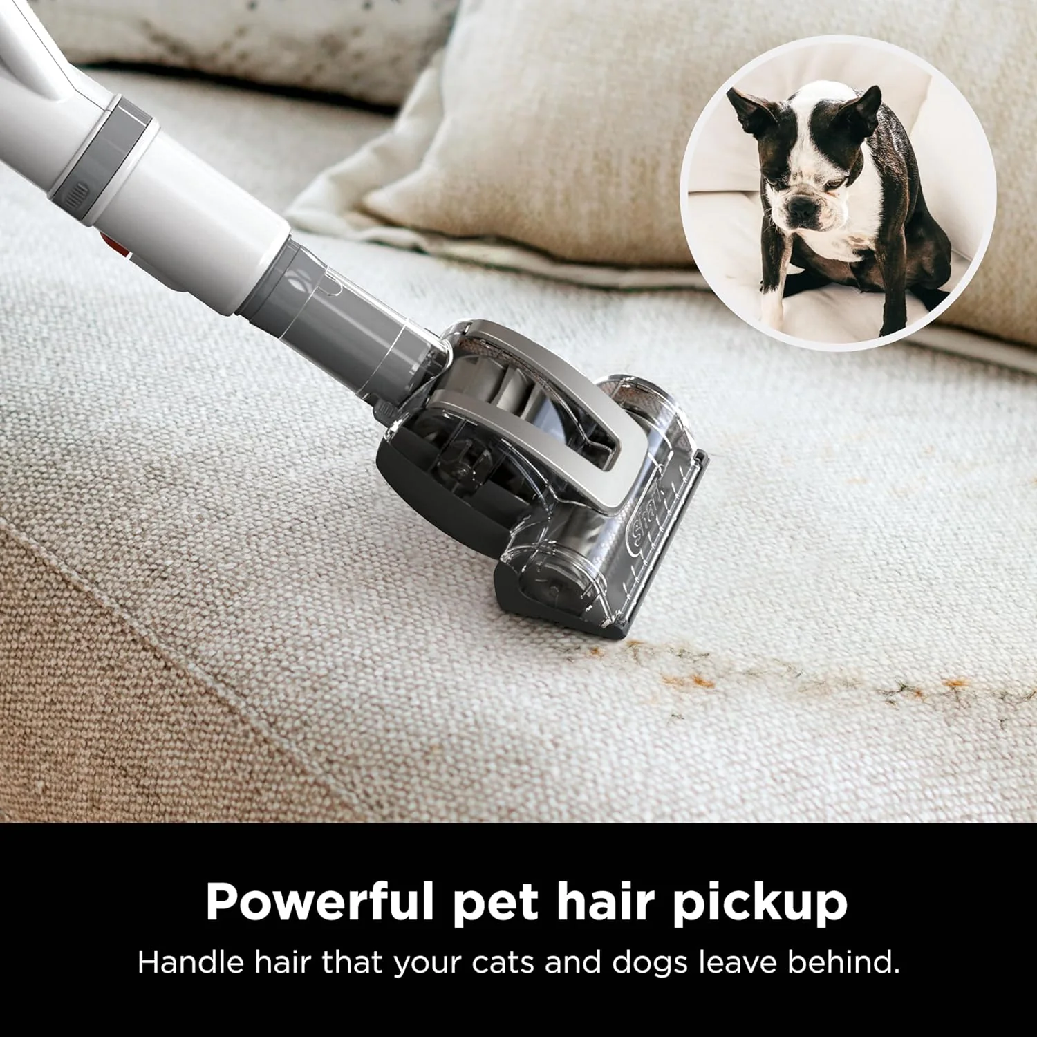 Shark NV356E Navigator Lift-Away Professional Upright Vacuum with Swivel Steering, HEPA Filter, XL Dust Cup, Pet Power, Dusting Brush, and Crevice Tool, Perfect for Pet Hair - Image 6
