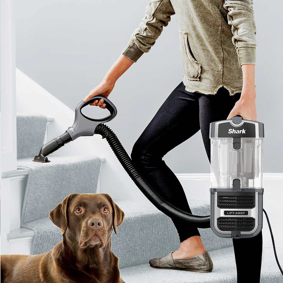 Shark UV725 Navigator Lift-Away with Self Cleaning Brushroll Upright Vacuum with HEPA Filter - Image 7